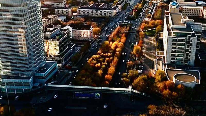 Атырау сверху осенью — высотка офисного центра, деревья в золотой листве и широкая улица в часы заката