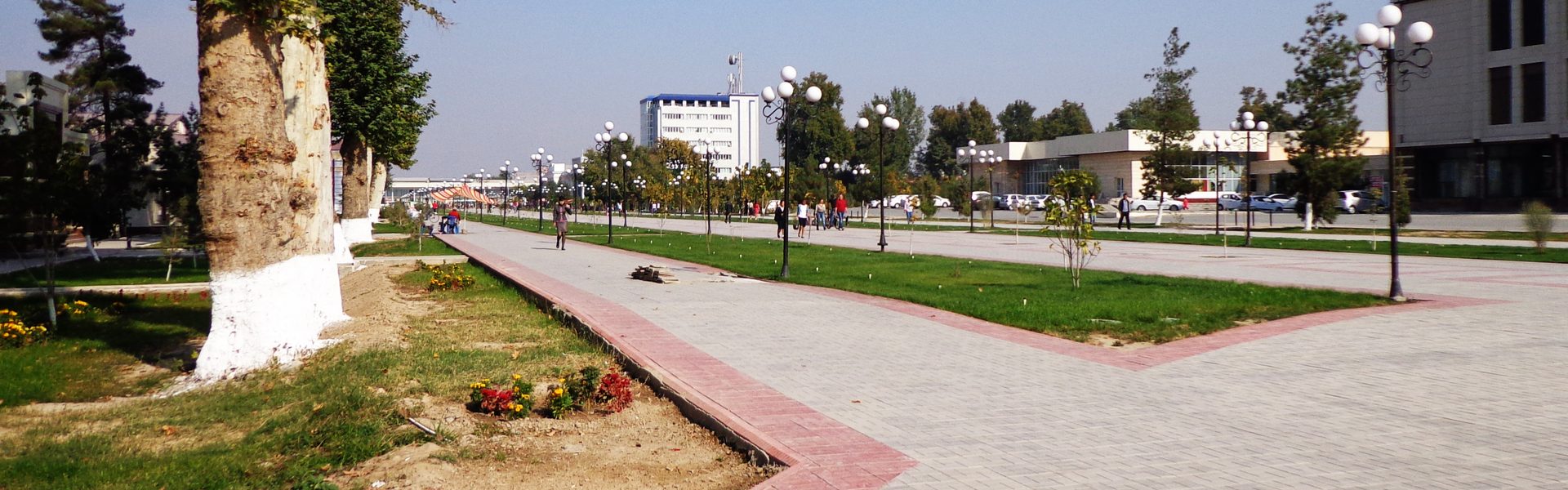 Центральная аллея в Фергане — высокие платаны над пешеходным бульваром и тёплый летний свет