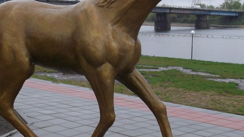 Человек идёт по мокрой дорожке в парке Костаная в межсезонье